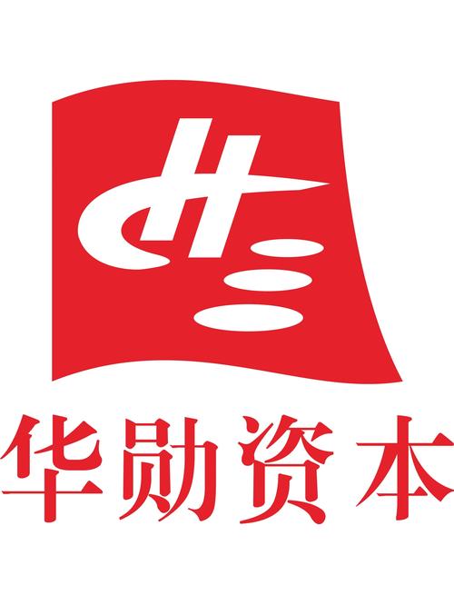 ">公司经营范围包括:民间资本管理(已批准许可项目),政府采购代理服务